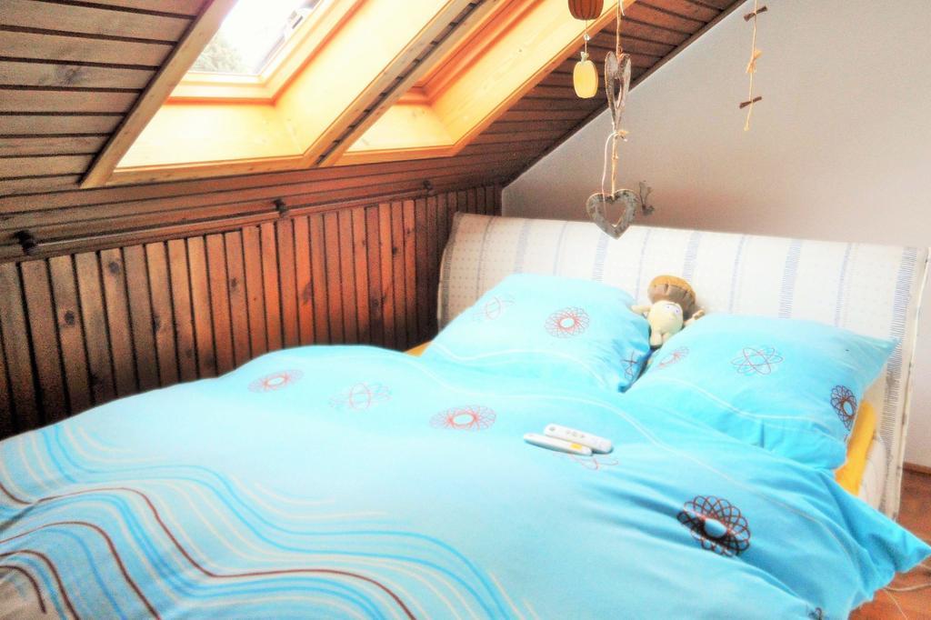 Ferienwohnung-Kuechler Oelsnitz  Rum bild